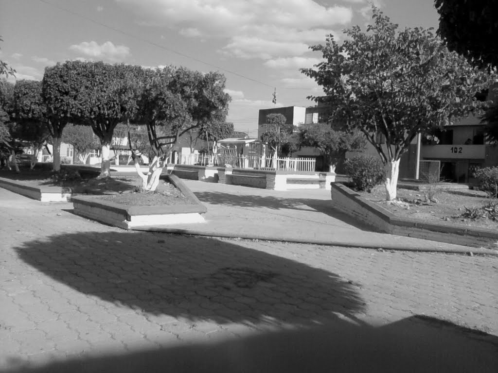 San Juanico, Plaza Caolin