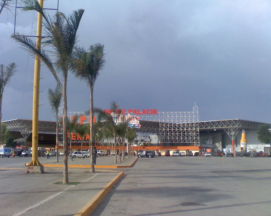 Expo Feria Gomez Palacio