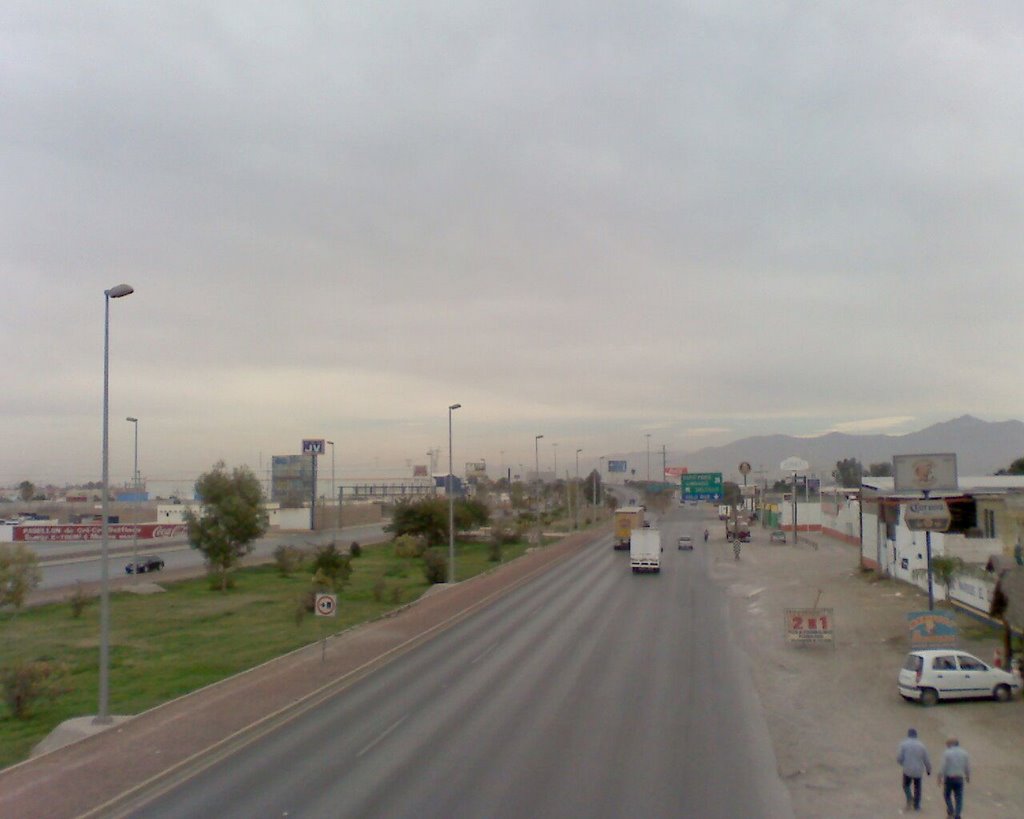 vista hacia el puente centenario desde el puente peatonal