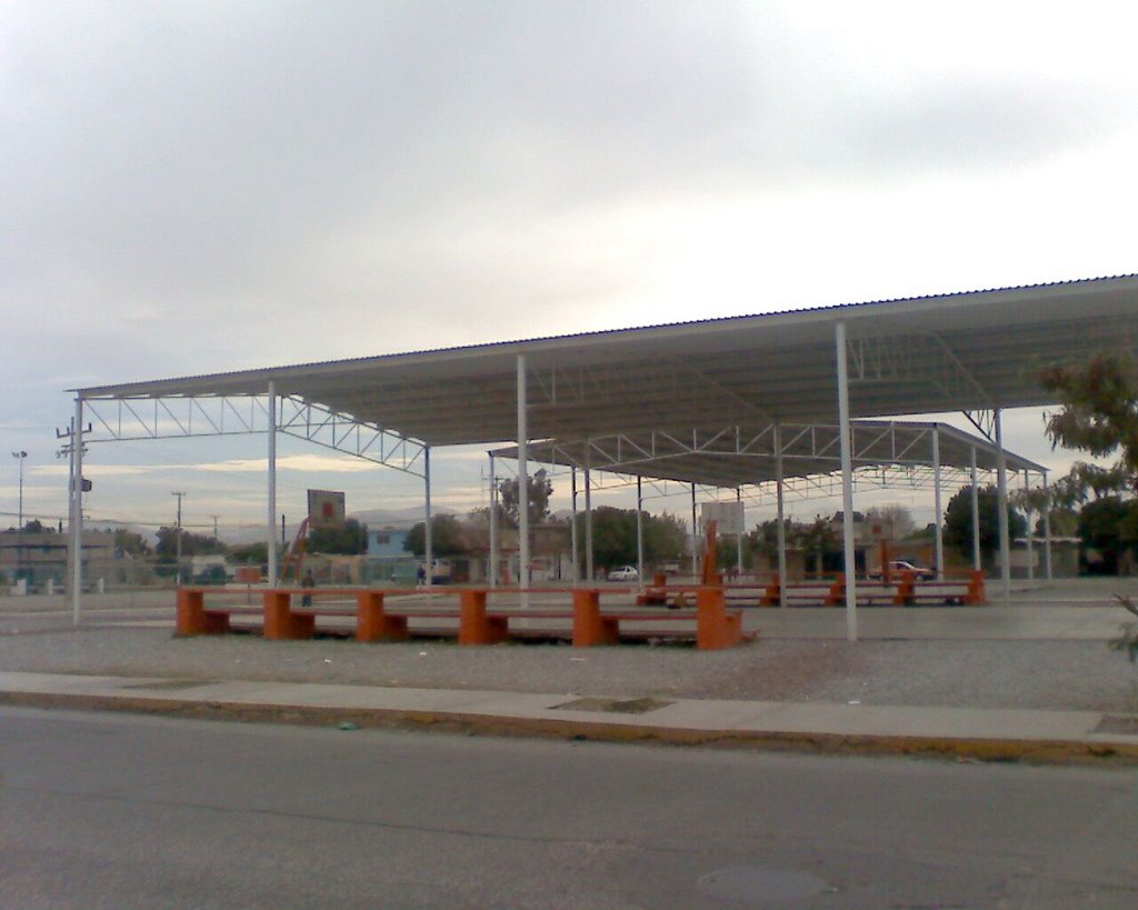 canchas de basket ball