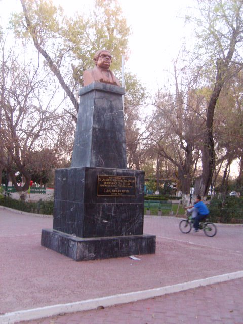 parque y monumento morelos (main park)