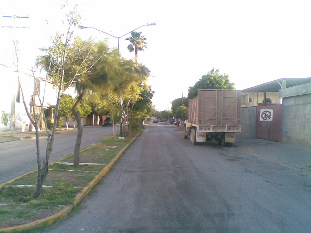 Ave Doctores