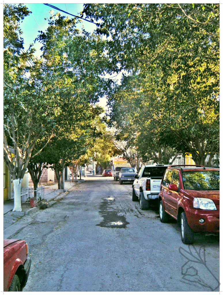 fraccionamiento hamburgo (middle-class neighborhood)