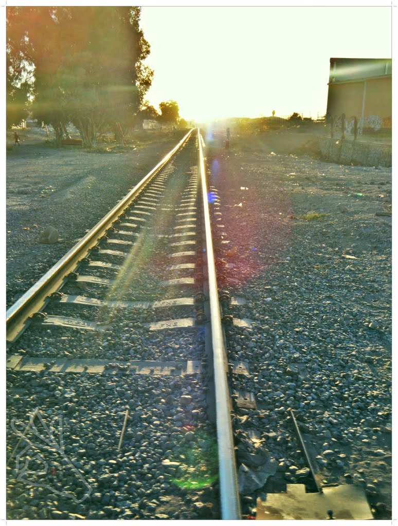ocaso (sunset)