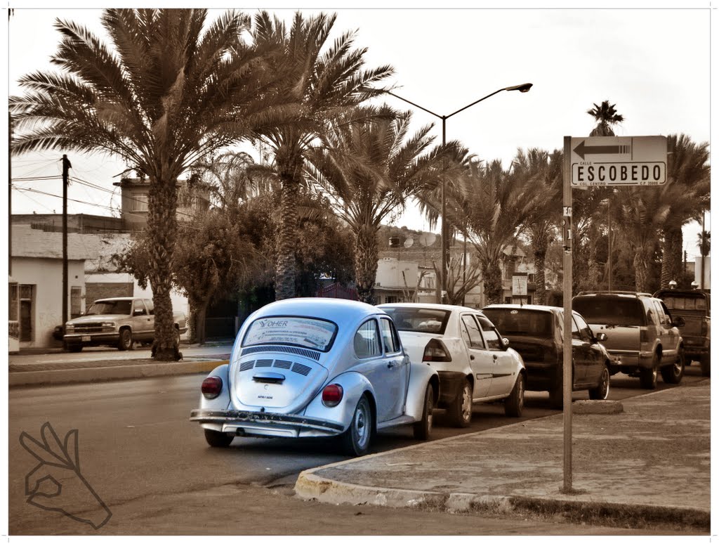 un bocho por agustin castro (a volkswagen beetle on the street)