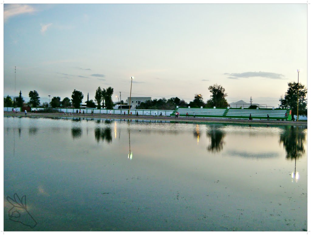 deportiva francisco gomez palacio (sport club)