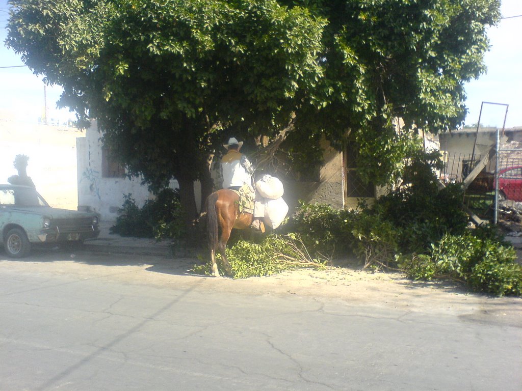 Con un caballo de fuerza... :- )