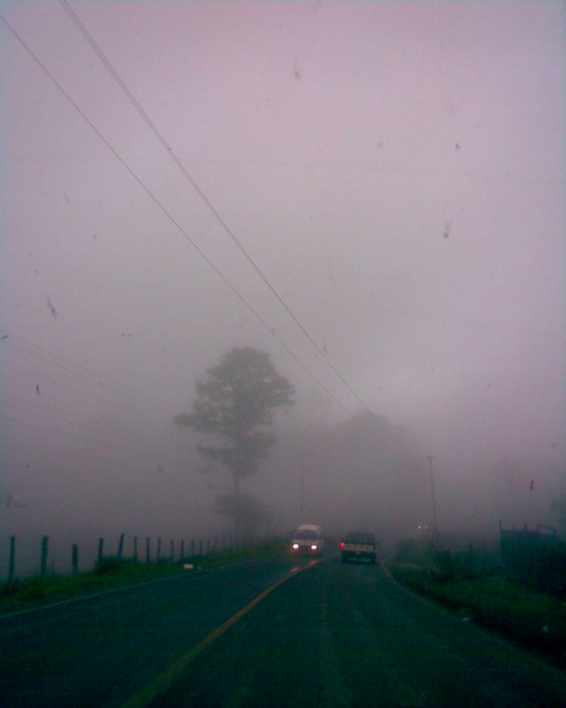 Hualula