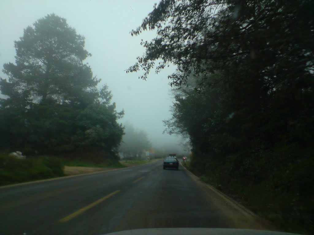 Neblina
