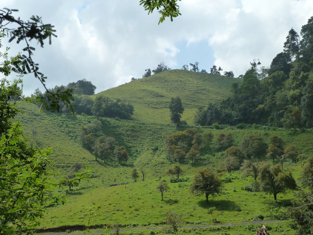 Paisaje en Zacualtipan