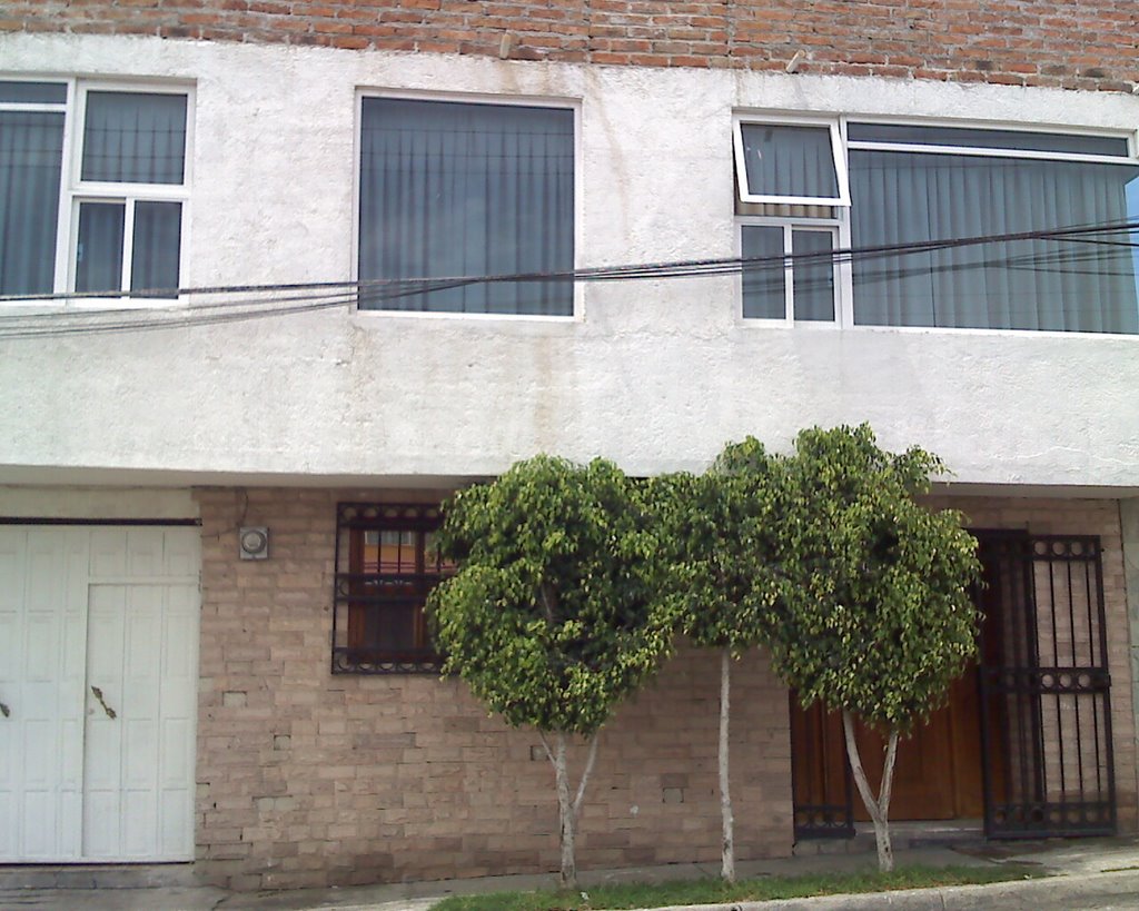 Cesar Islas House of the San Antonio Cabañitas