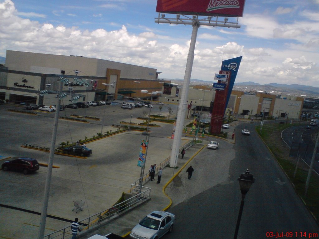 Palza Q