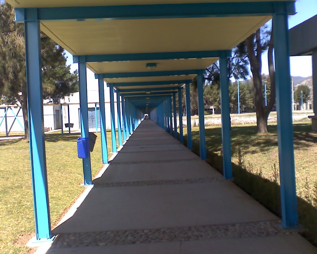 pasillo