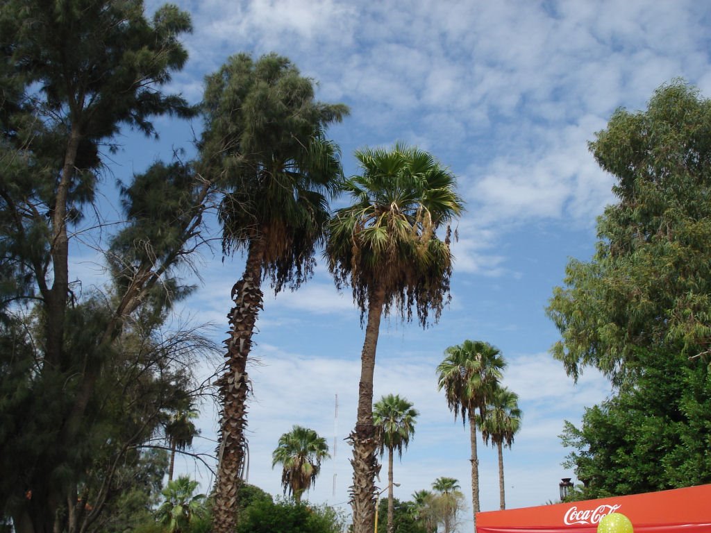 Plaza Principal de Matamoros
