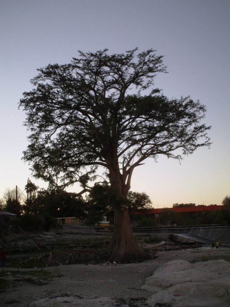 El Sabino