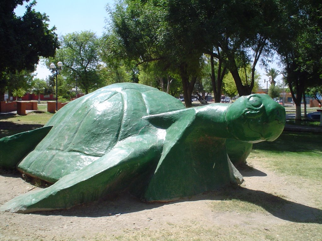 monumento a la tortuga en plaza de la tortuga torreon jardin