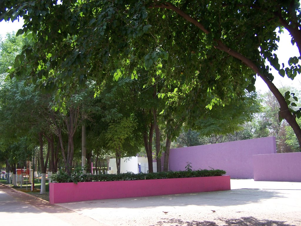 Plaza de los corredores