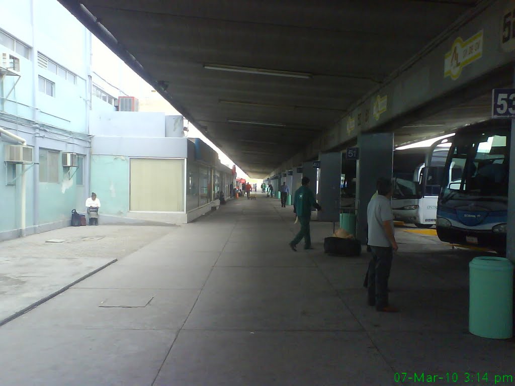central de autobuses de torreon coahuila