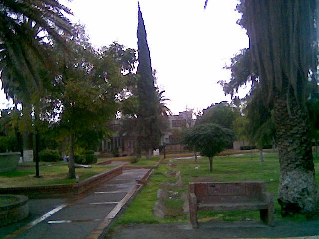 Plaza de la Tortuga