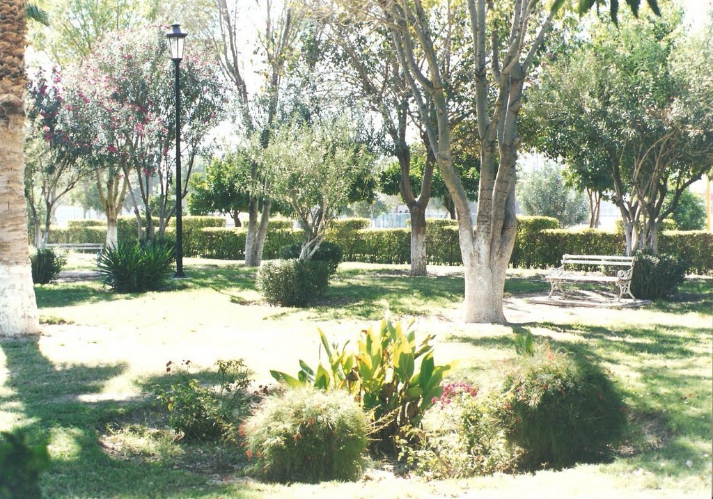 JARDINES UNIDAD DEPORTIVA TORREÓN