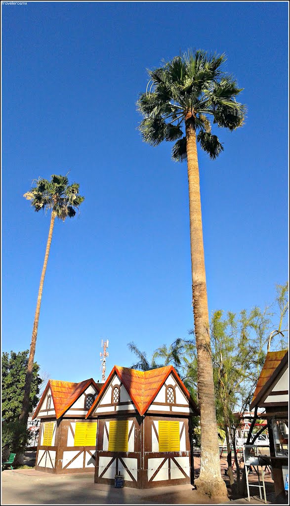 Locales Comerciales en el Bosque, Torreón