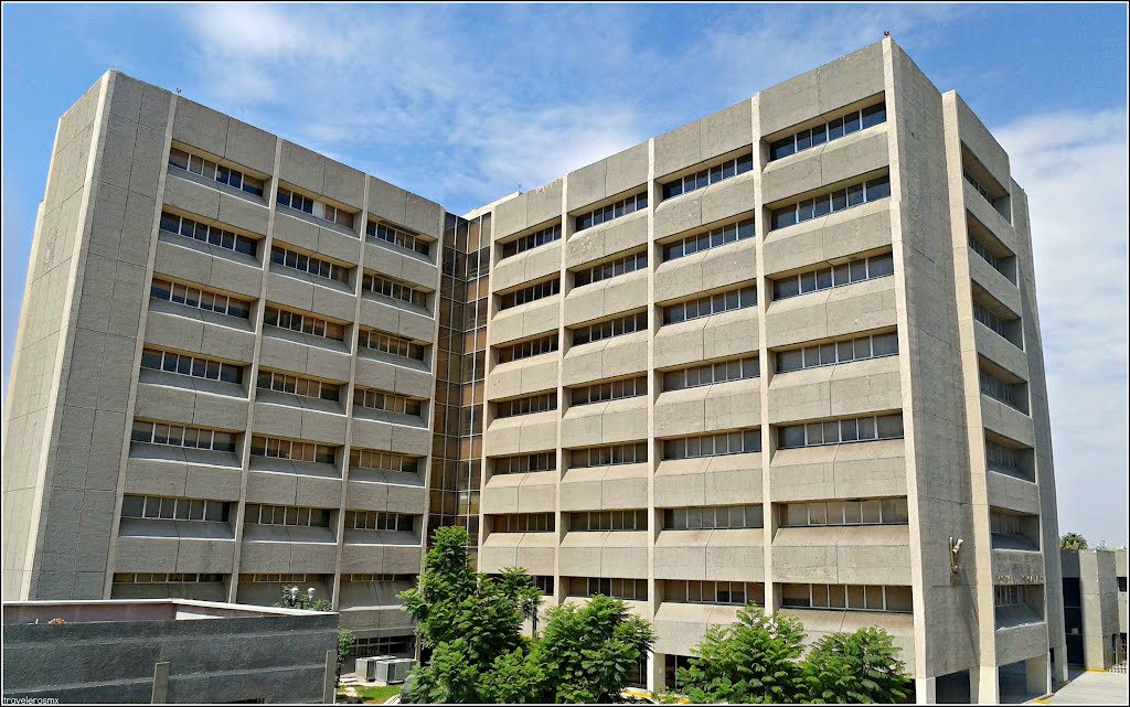 Torre de Especialidades del IMSS, Torreón