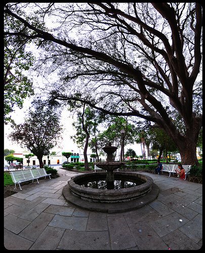 Jardínes // Centro de Colima
