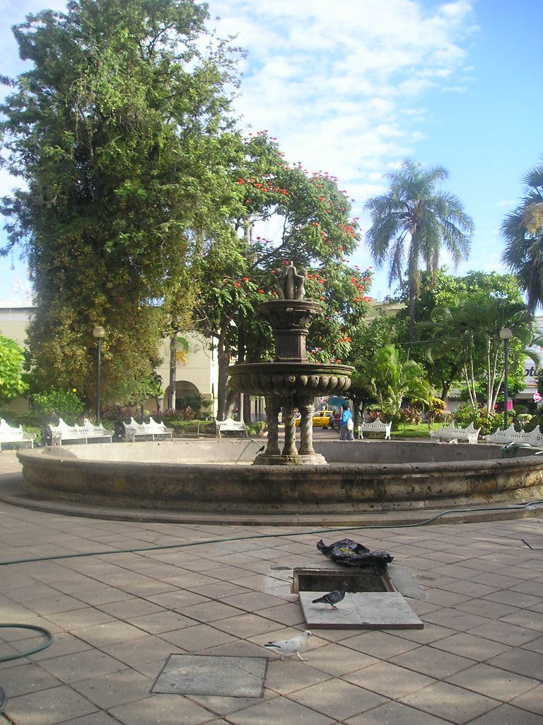 Jardin detras de la catedral