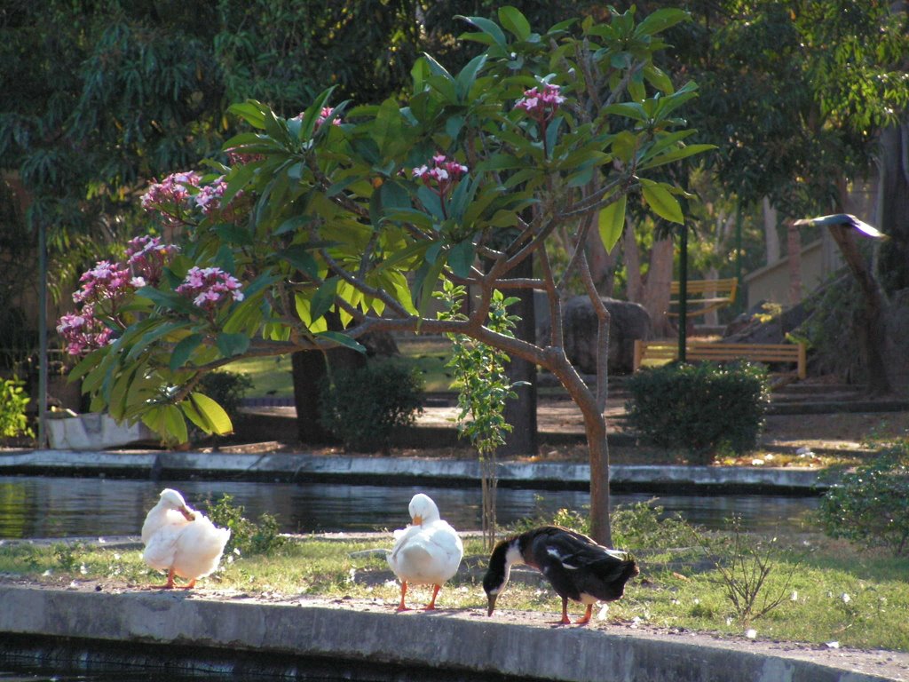Parque Regional