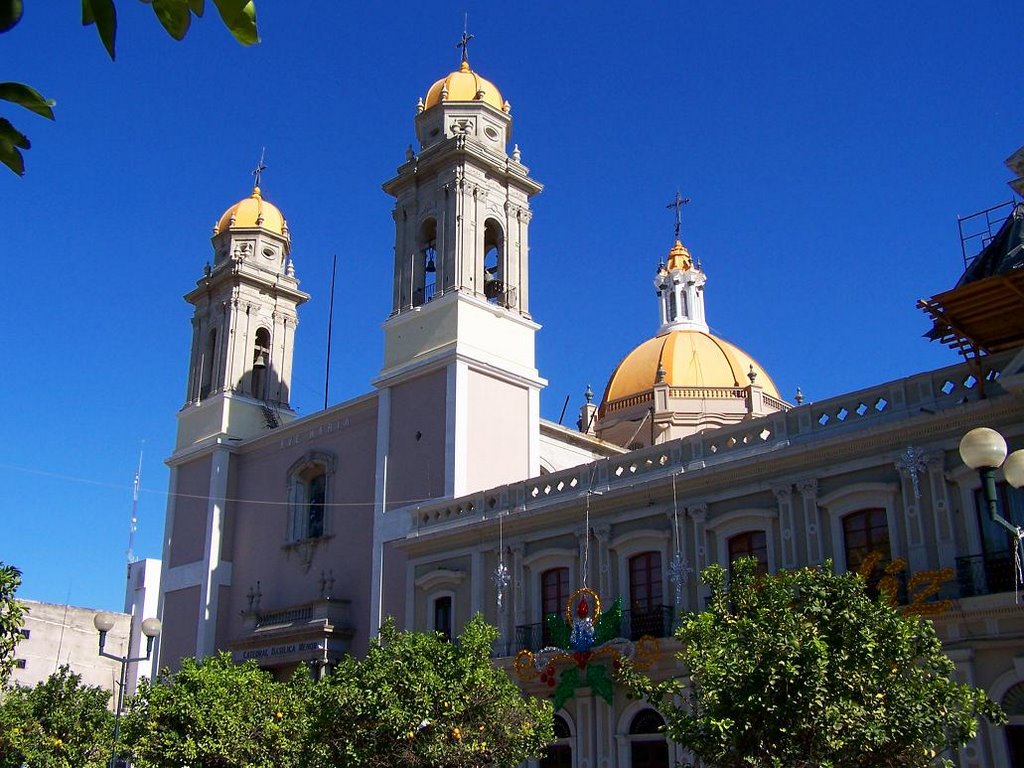 Catedral de Colima