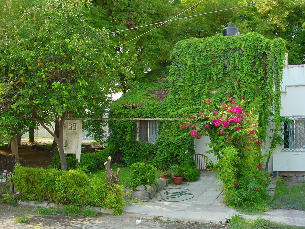 Casa Bioclimática