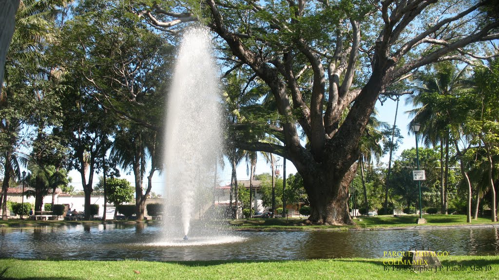 Parque Hidalgo Colima Marzo 2010 By Photographer J.P. Pandur B.