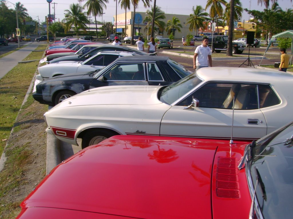 Club Mustang Colima