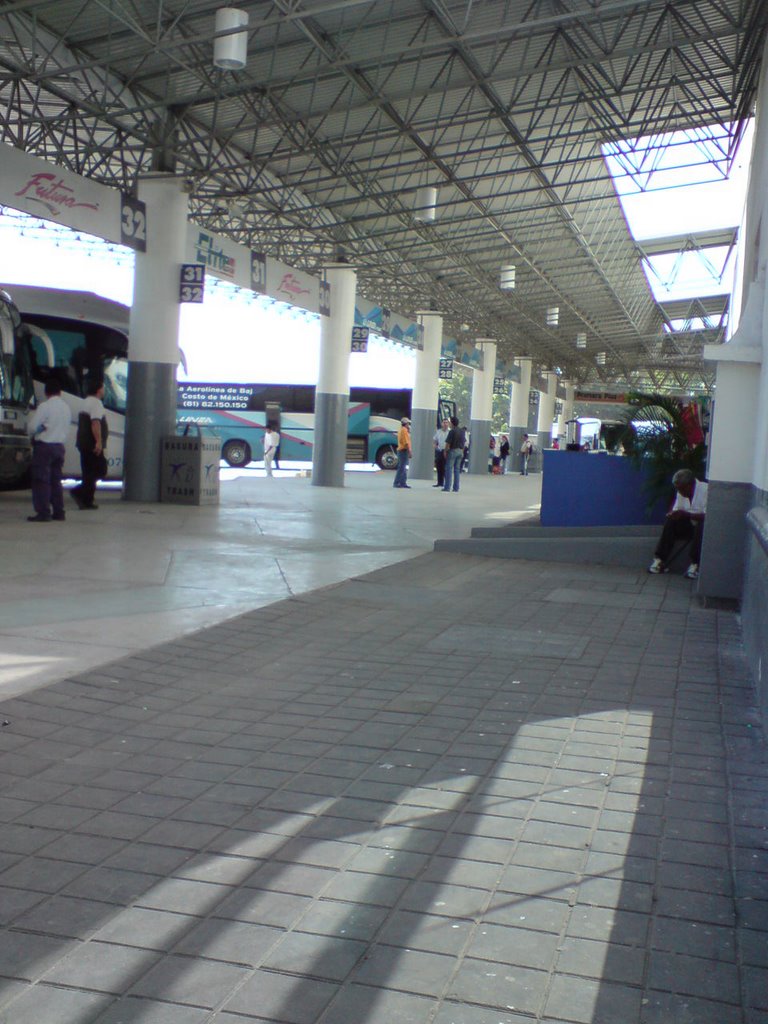 Central de autobuses de Manzanillo, Col.