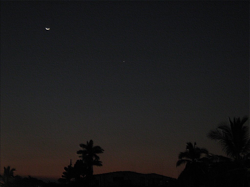 Moon & Star