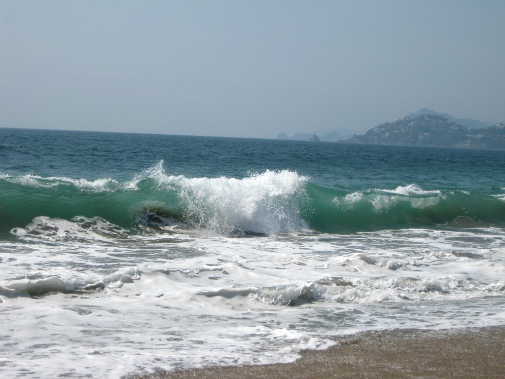 Olas  octubre/2010