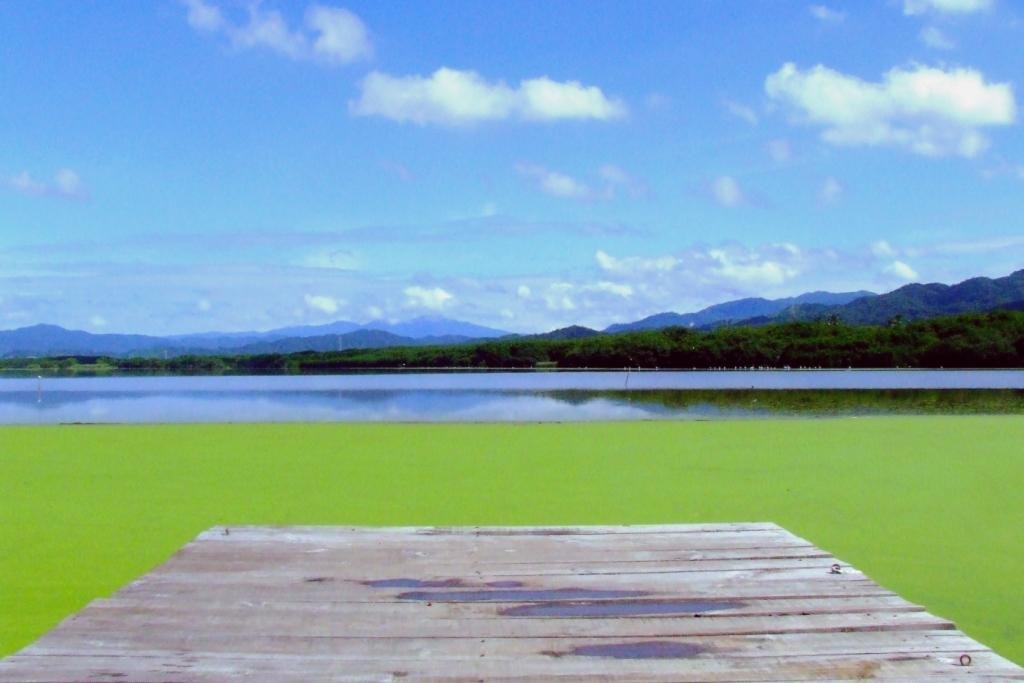 Laguna (Valle de las Garzas)