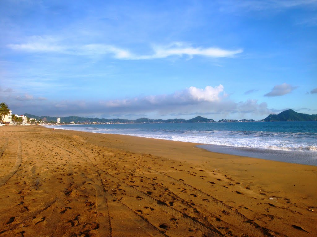 Playa de Manzanillo