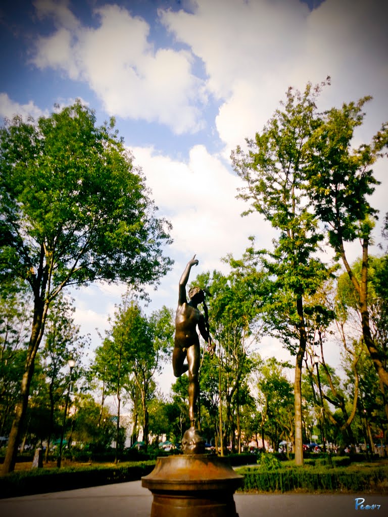 Colonia Lindavista