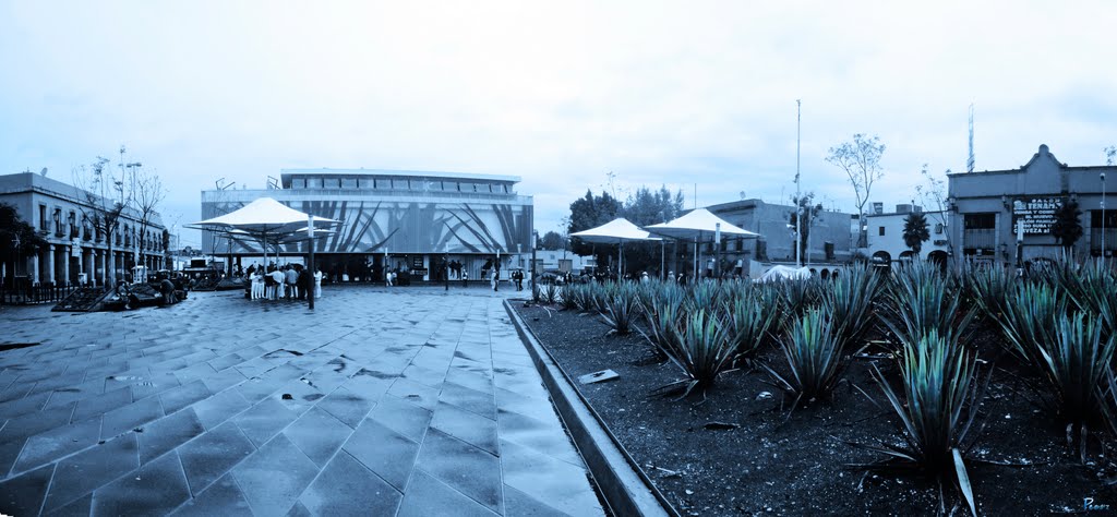 Buenavista