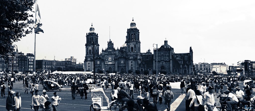 México exige ¡Verdadera Democracia!