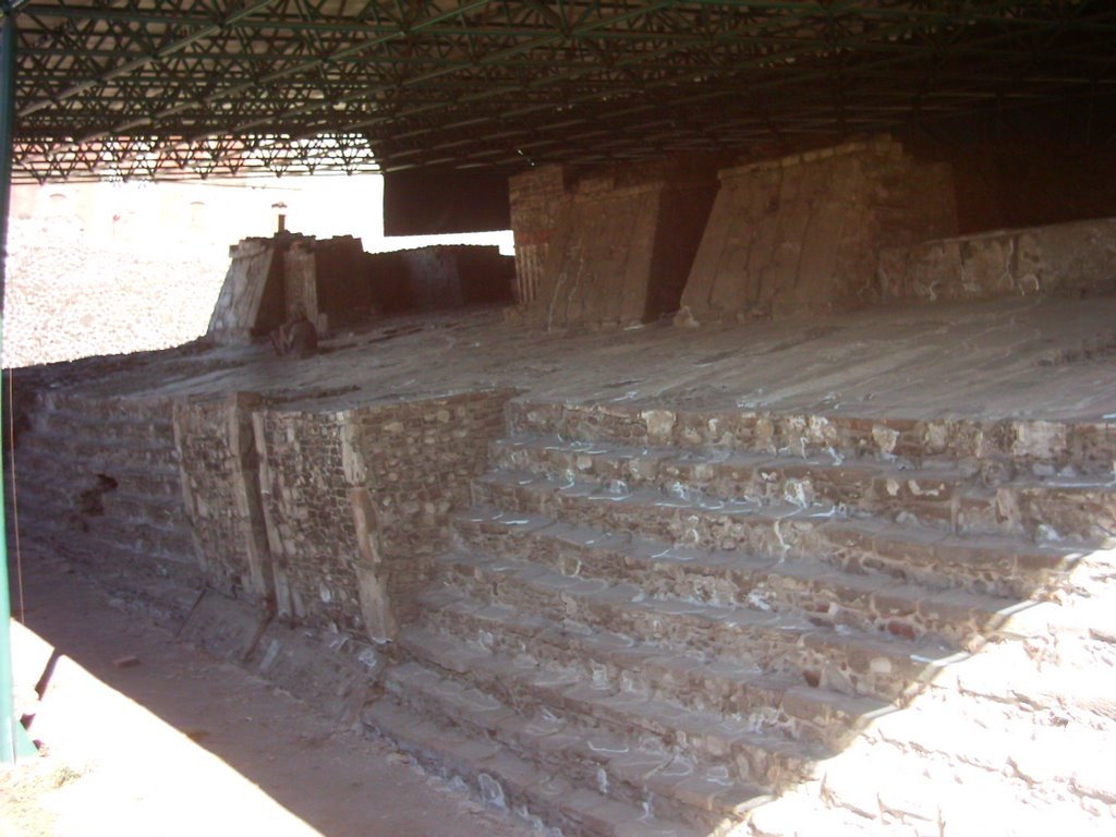 Templo Mayor, Centro Historico