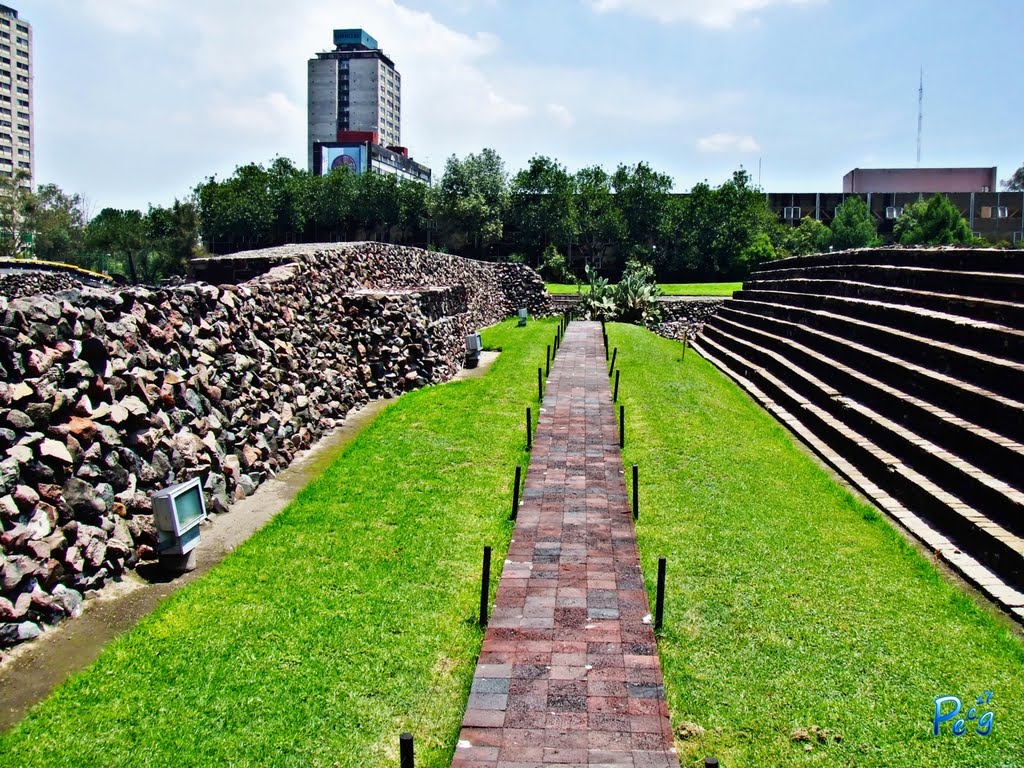 México, D.F., Delegación Cuauhtémoc, Bienvenidos a Tlatelolco. Antoni, estás cordialmente invidado. (a.ferrer) ::: October
