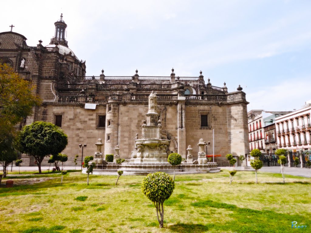 México, D.F., Cuauhtémoc, En las Jardineras de la Catedral Metropolitana.