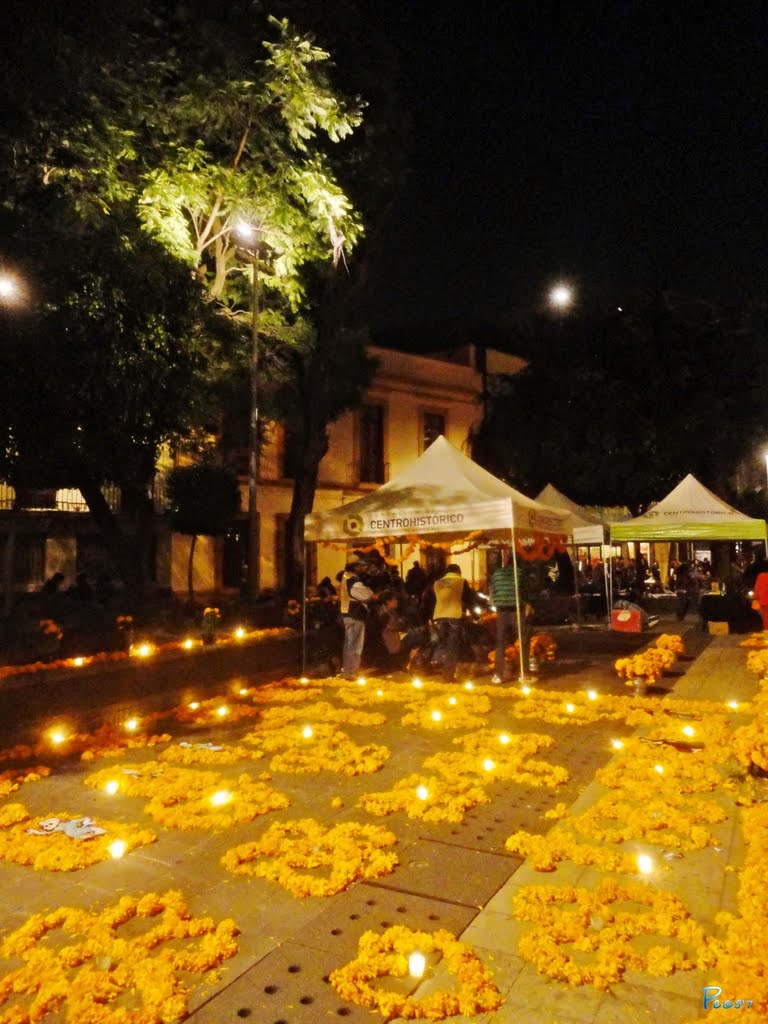 Regina, "Conmemora a tus Muertos".