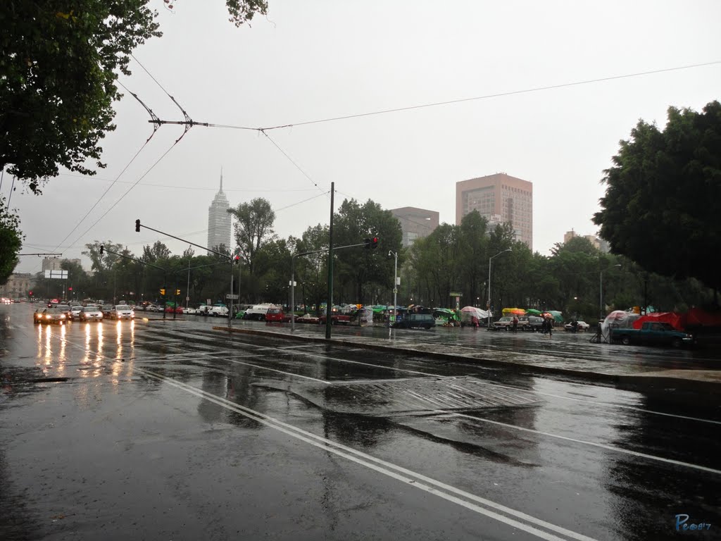 Llovió recio y tupido...