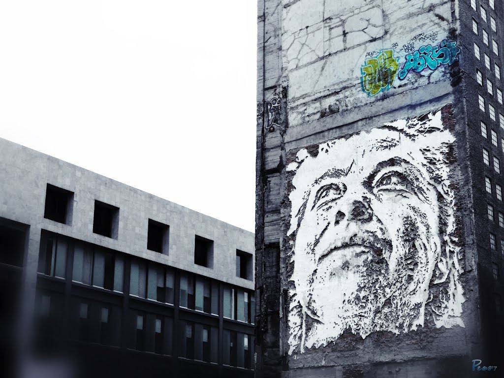 VHILS