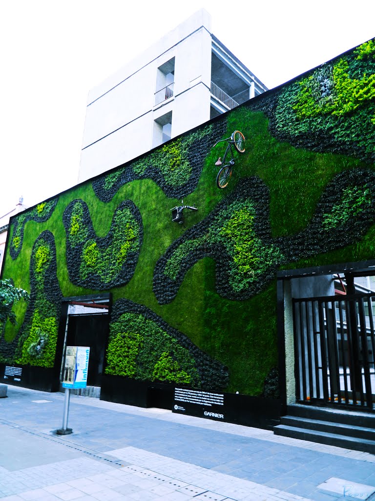Jardín Vertical.