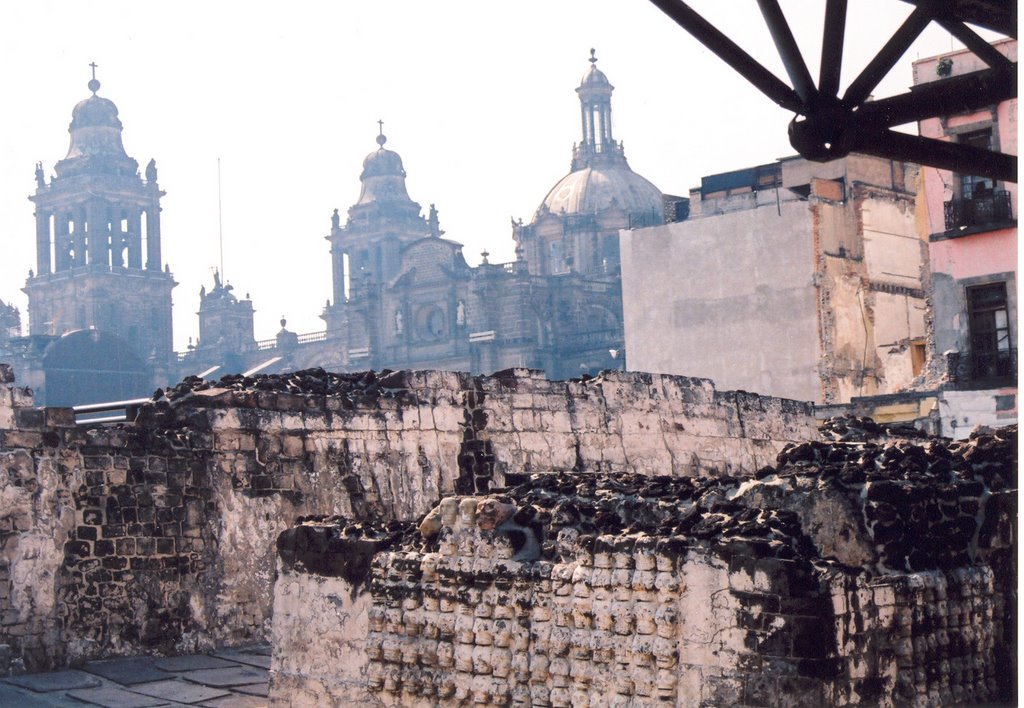 Skulls, Aztec Ruins, Mexico City