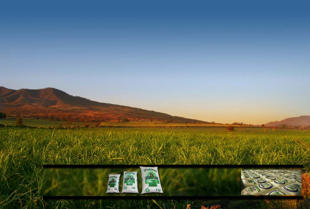 Caña Santa Clara